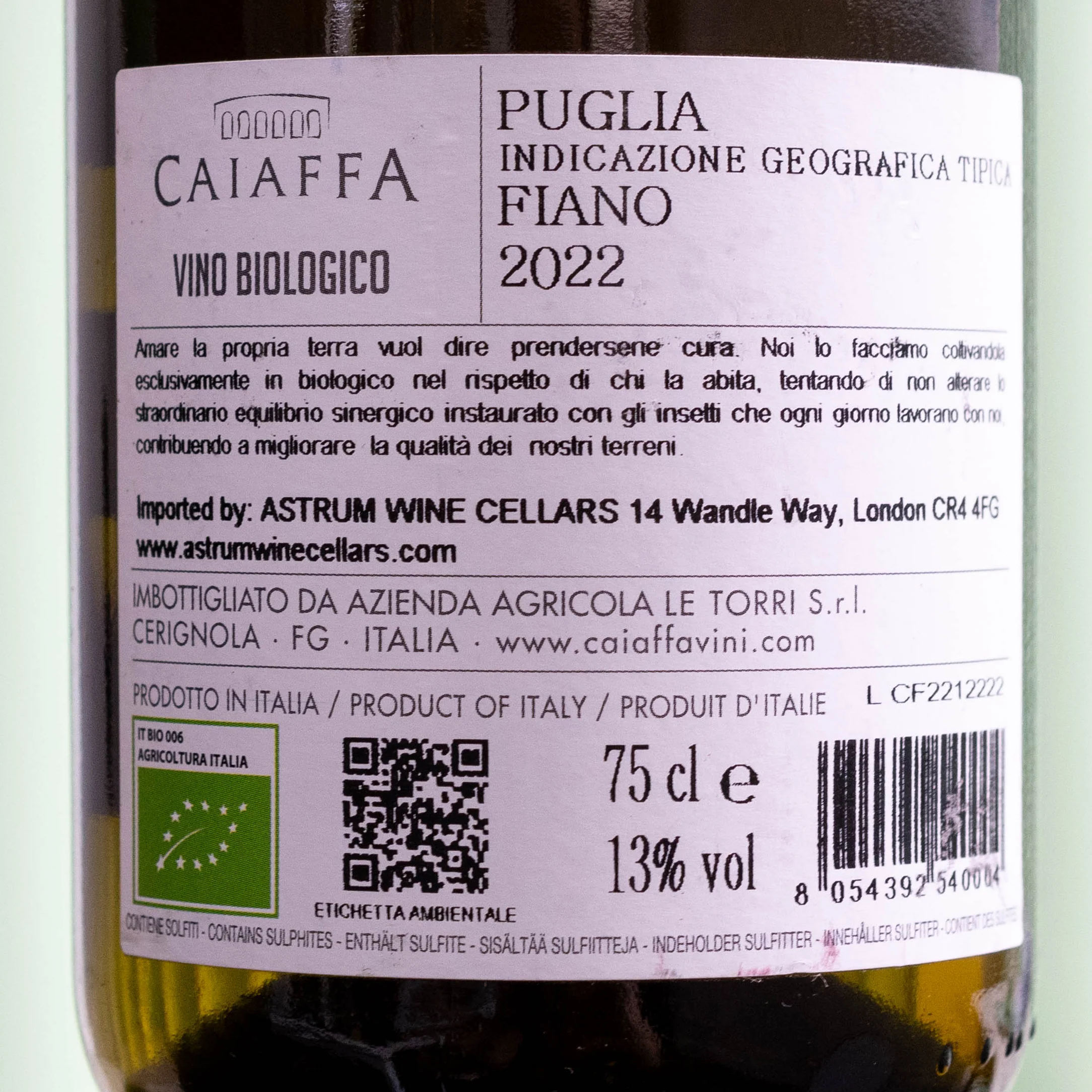 Fiano, Caiaffa - Puglia, 2021 - Image 3